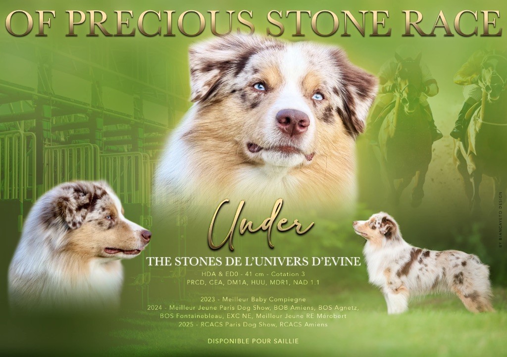 Under the stones De l'Univers d'Evine
